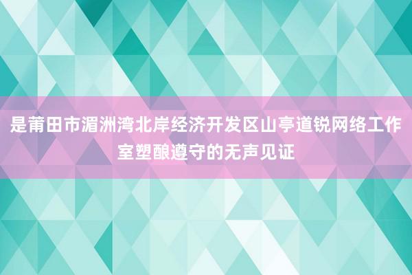 是莆田市湄洲湾北岸经济开发区山亭道锐网络工作室塑酿遵守的无声见证