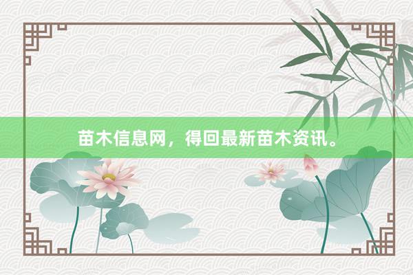 苗木信息网，得回最新苗木资讯。