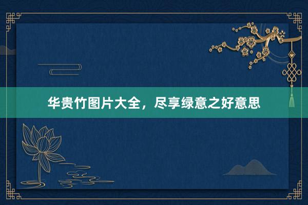 华贵竹图片大全，尽享绿意之好意思