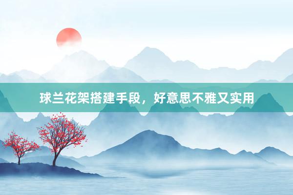 球兰花架搭建手段，好意思不雅又实用