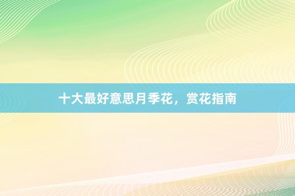 十大最好意思月季花，赏花指南