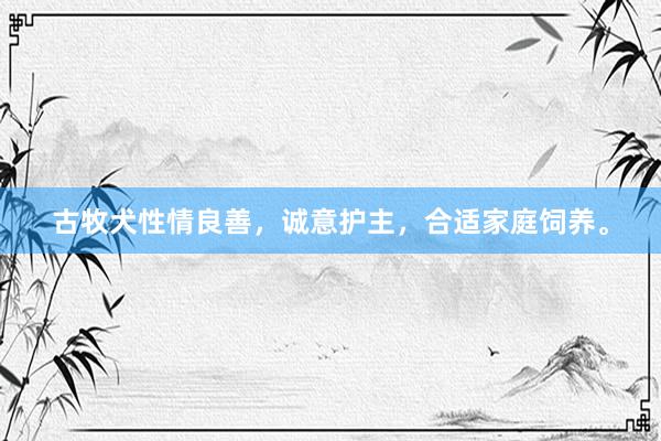 古牧犬性情良善,诚意护主,合适家庭饲养。