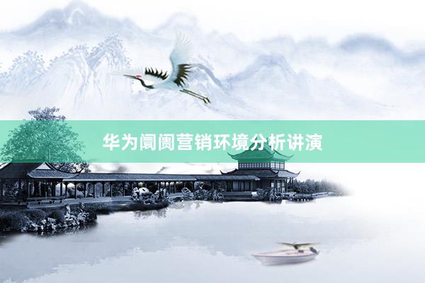 华为阛阓营销环境分析讲演